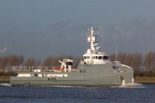 AmelsDamen6711HansEsveldt09.jpg