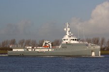 AmelsDamen6711HansEsveldt11.jpg